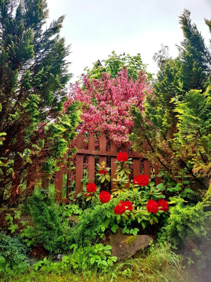 Z Widokiem Holiday home Olchowiec